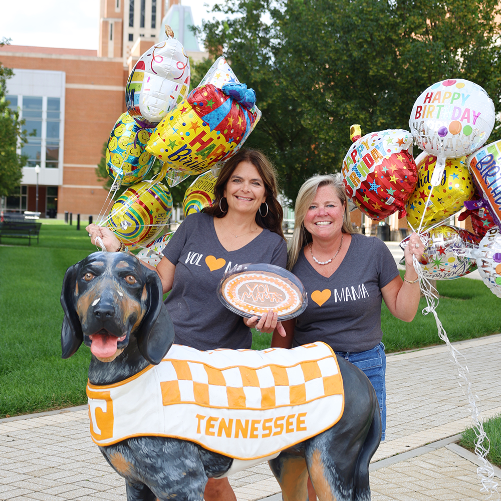 Welcome To Vol Country